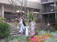 wedding_reception_by_oscar_004.jpg (132kb)