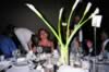 table_camera_pictures_030.jpg (95kb)