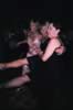 table_camera_pictures_051.jpg (26kb)