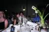 table_camera_pictures_111.jpg (81kb)