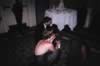 table_camera_pictures_122.jpg (56kb)