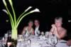 table_camera_pictures_164.jpg (81kb)
