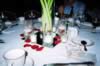 table_camera_pictures_252.jpg (86kb)